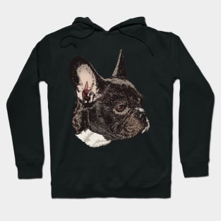 Baby pitbull Hoodie